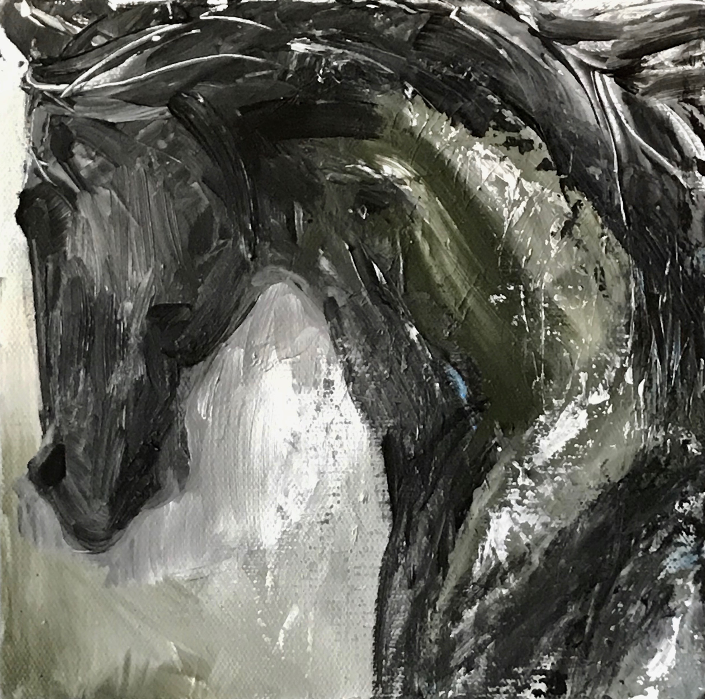 'Small 105' 8x8 Contemporary Modern Equine Horse Painting by Cher Devereaux on stretched canvas